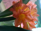 08012006041