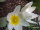 14042014006