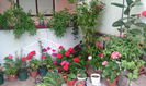 IMG_20140719_150728