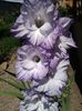 IMG_20140719_151950