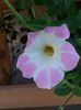 IMG_20140719_152303