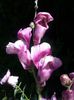 IMG_20140719_153056