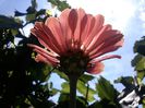 IMG_20140719_152706
