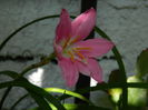 DSCN7958