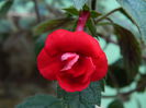 DSCN7972
