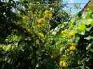 DSCN7978