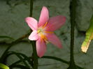 DSCN7984