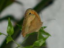 DSCN7990