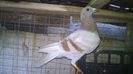 WP_20140719_019