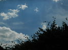 DSCN8028