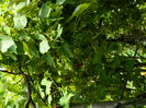 DSCN8038
