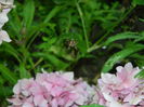 DSCN8045