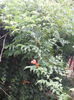 PB080045