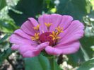 IMG_20140719_152850