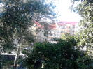 IMG_20140714_181132