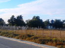cimitirul