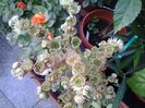 20140719_191451