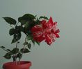 DSC04743