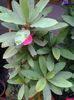 20140719_195759