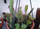 20140719_195622