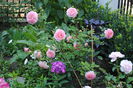 Jubilee Celebration