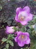 IMG_20140719_203906
