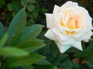 DSCN8464