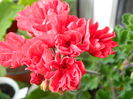 DSCN8630