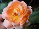 DSCN8533