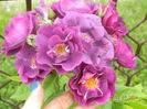 DSCN8567