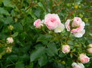 DSCN8574