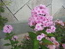 DSCN3282