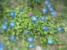 DSCN3289