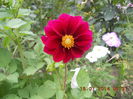 DSCN3284