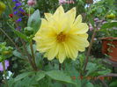 DSCN3285