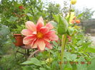 DSCN3286