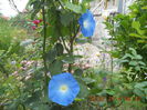 DSCN3287