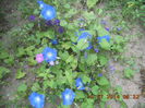 DSCN3288