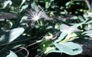 IMG_20140720_094455