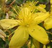 20140615_124453