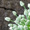20140612_170023