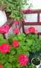IMG_20140720_085756