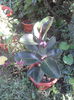 2014-07-20 09.39.47