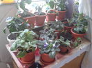 2014-07-20 09.59.35