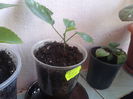 2014-07-20 10.59.06