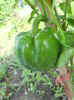 DSCN5801