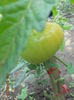 DSCN5816