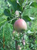 DSCN5808
