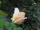 DSCN5787