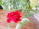 DSCN5798